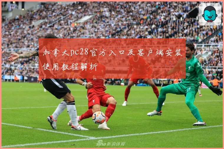 加拿大pc28官方入口及客户端安装使用教程解析