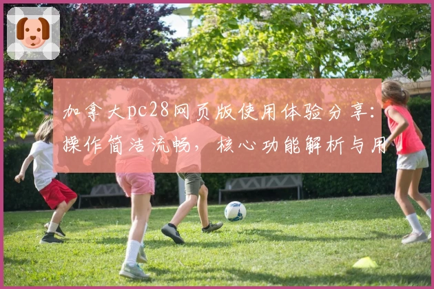 加拿大pc28网页版使用体验分享：操作简洁流畅，核心功能解析与用户实际反馈汇总