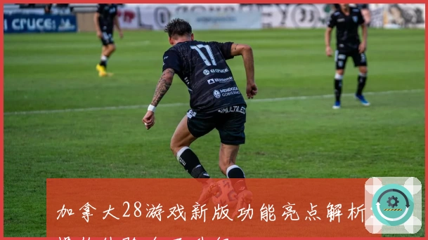 加拿大28游戏新版功能亮点解析：操作体验全面升级