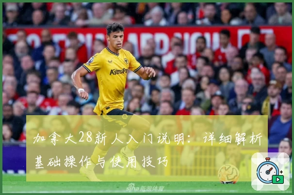 加拿大28新人入门说明：详细解析基础操作与使用技巧