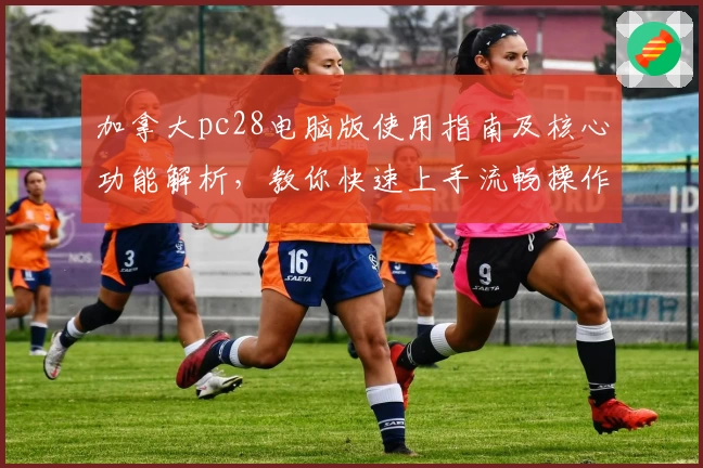 加拿大pc28电脑版使用指南及核心功能解析，教你快速上手流畅操作