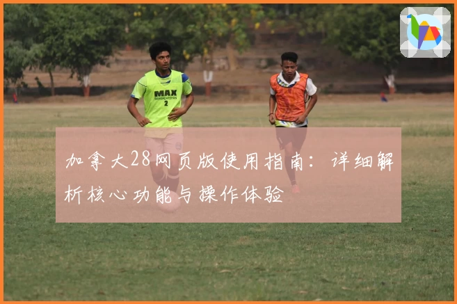 加拿大28网页版使用指南：详细解析核心功能与操作体验
