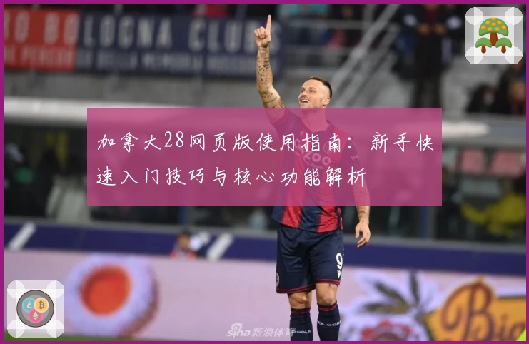 加拿大28网页版使用指南：新手快速入门技巧与核心功能解析