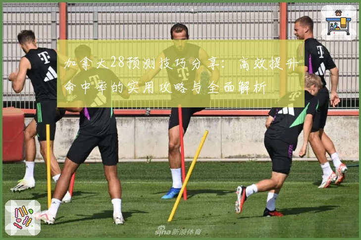 加拿大28预测技巧分享:高效提升命中率的实用攻略与全面解析