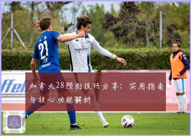 加拿大28预测技巧分享：实用指南与核心功能解析