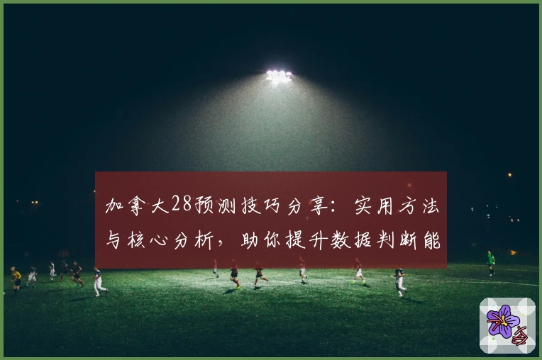 加拿大28预测技巧分享:实用方法与核心分析,助你提升数据判断能力