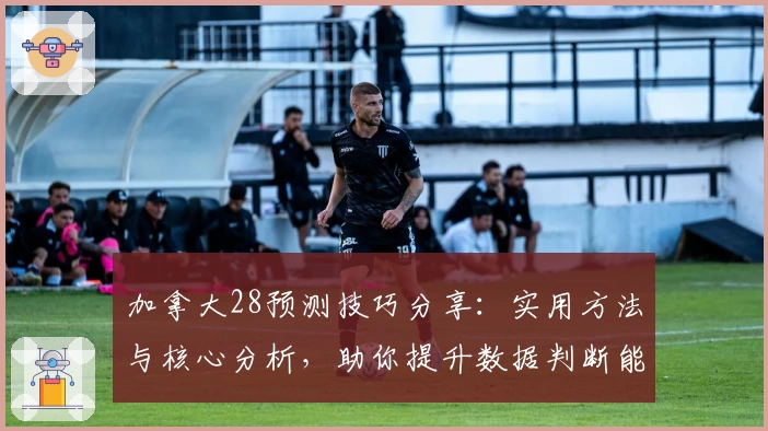 加拿大28预测技巧分享：实用方法与核心分析，助你提升数据判断能力