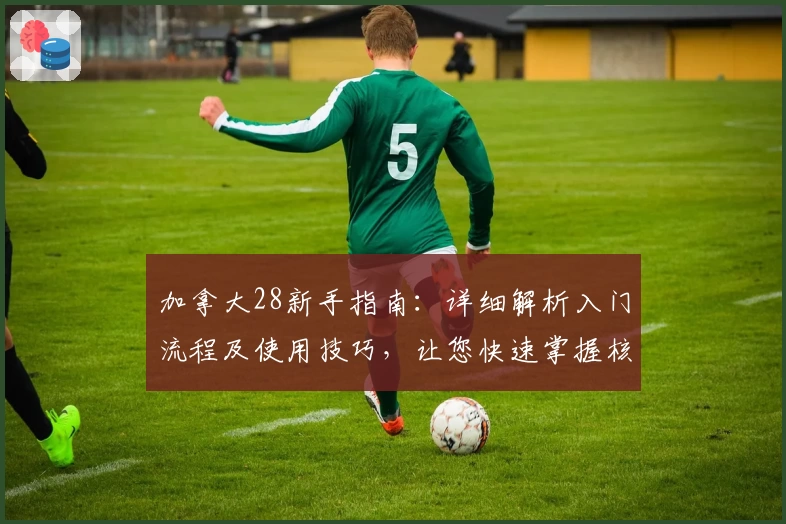 加拿大28新手指南：详细解析入门流程及使用技巧，让您快速掌握核心操作