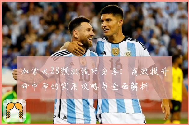 加拿大28预测技巧分享：高效提升命中率的实用攻略与全面解析