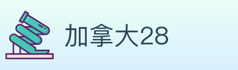加拿大28 Logo